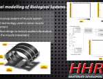 3 Biomechatronics sEMG Muscle Modelling Electrical Equivallent